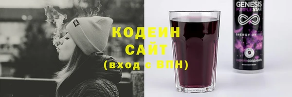 PSILOCYBIN Алзамай