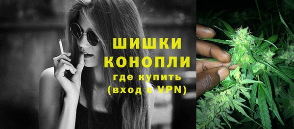 PSILOCYBIN Алзамай