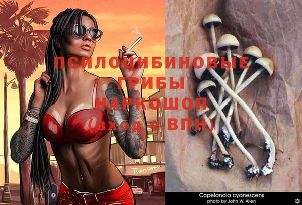 кокаин Алексеевка