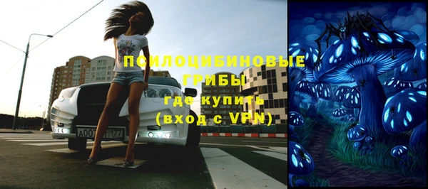 PSILOCYBIN Алзамай