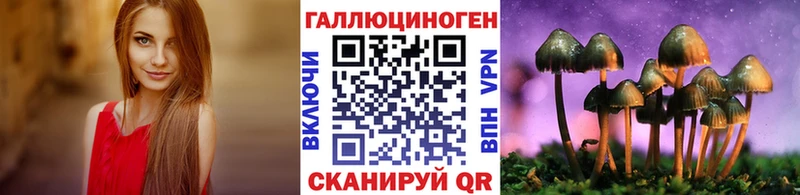 цены наркотик  Суджа  Псилоцибиновые грибы Psilocybe 